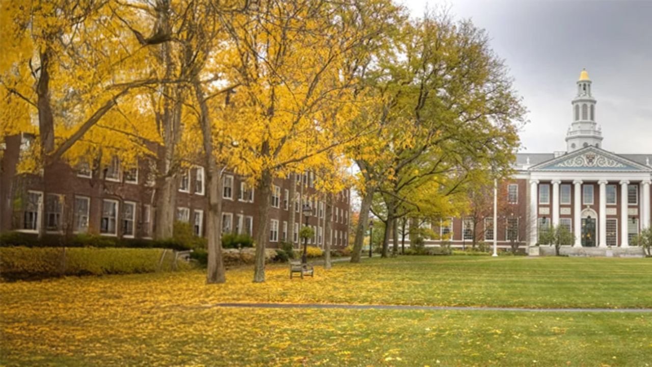 Best Business Schools in the USA for International Students